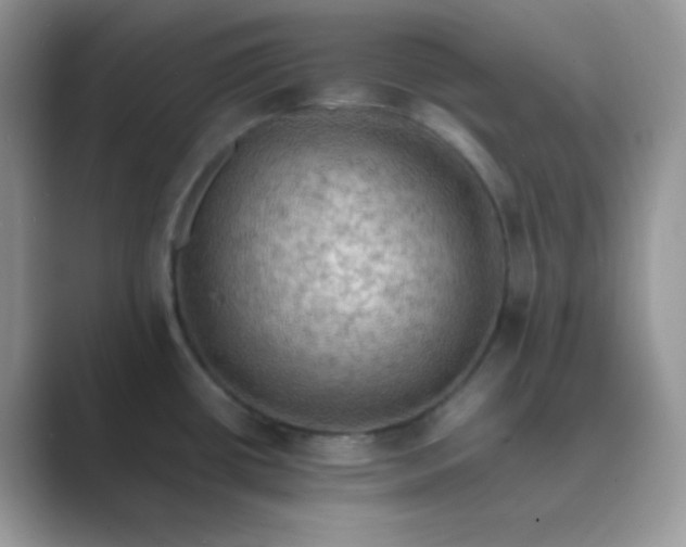 X0000089691434200707051617