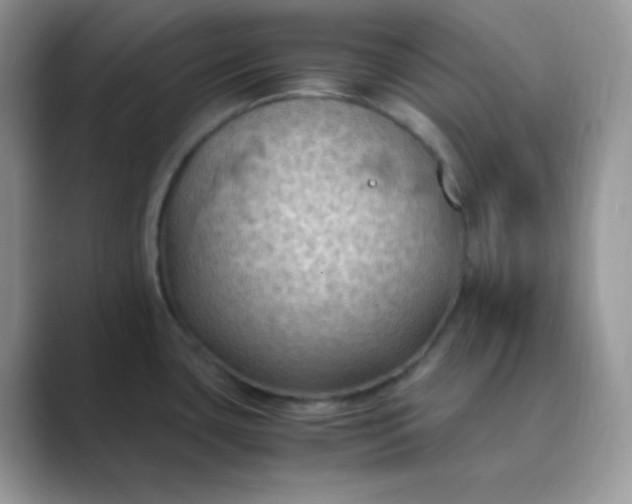 X0000089691435200707051617