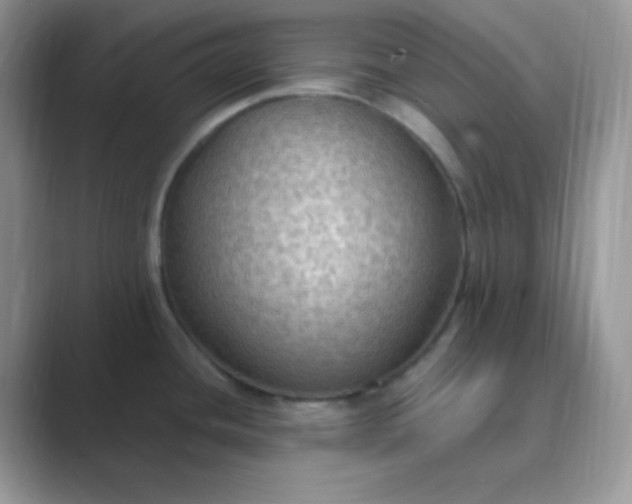 X0000089691436200707051617