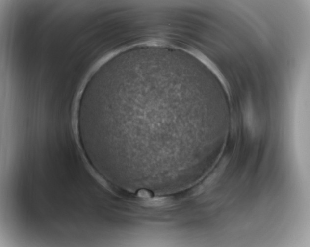 X0000089691437200707051617