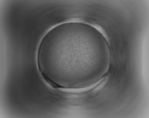 X0000089691438200707051617