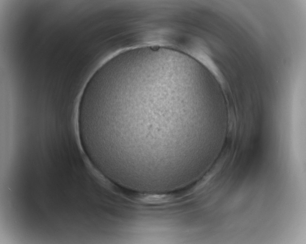 X0000089691439200707051617