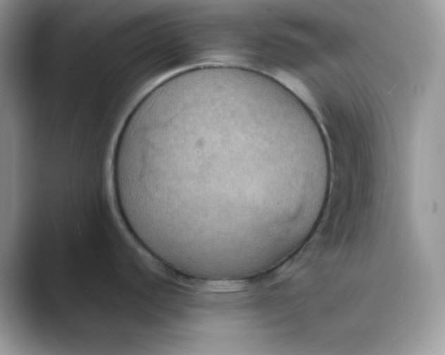 X0000089691440200707051617