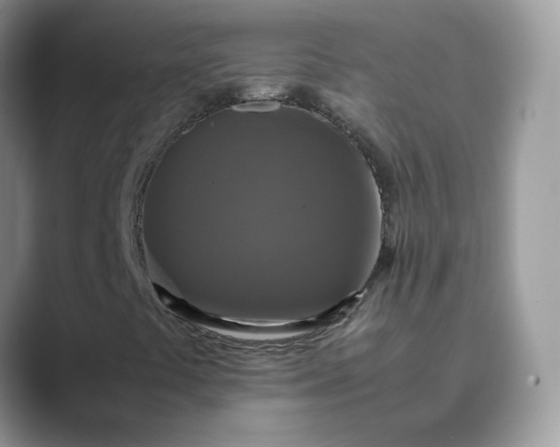 X0000089691441200707051616