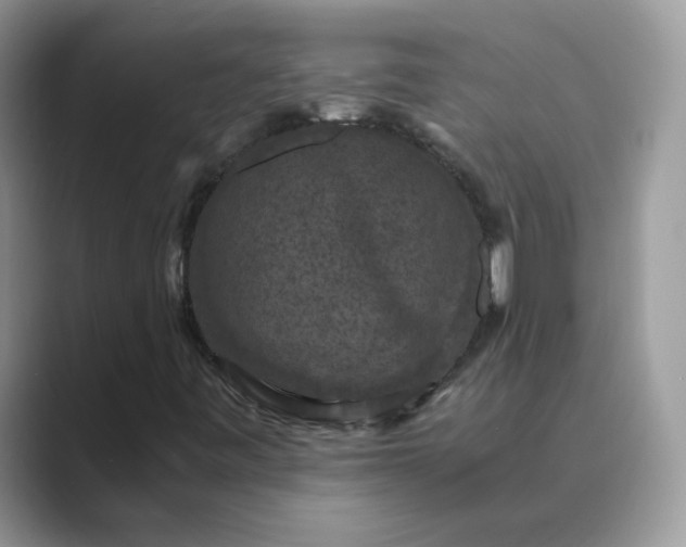 X0000089691443200707051616