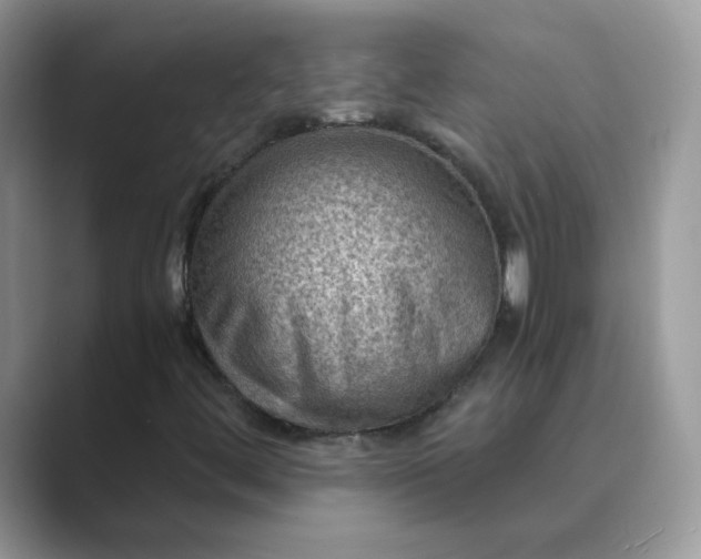 X0000089691444200707051616