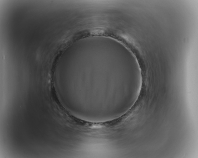 X0000089691445200707051616