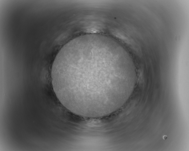 X0000089691446200707051616