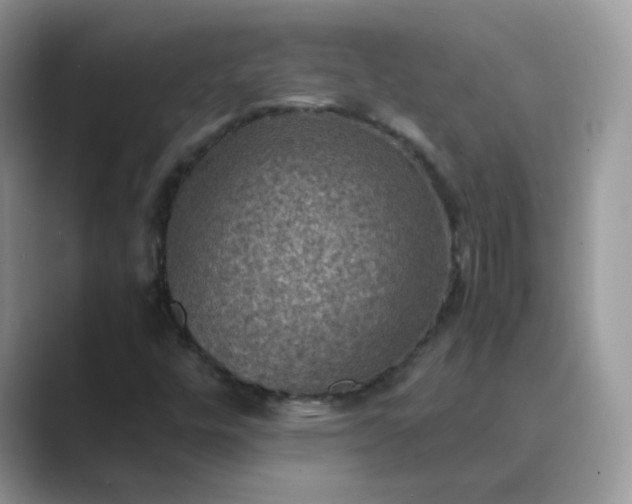 X0000089691448200707051616