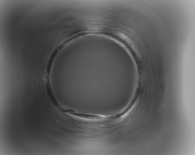 X0000089691449200707051616