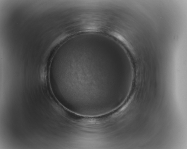 X0000089691450200707051616