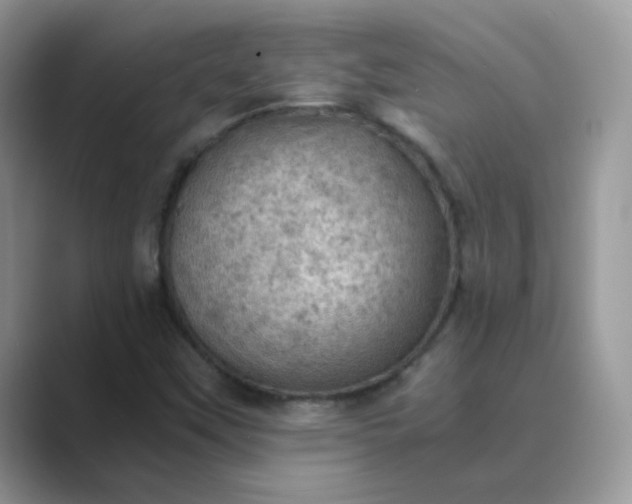 X0000089691451200707051616