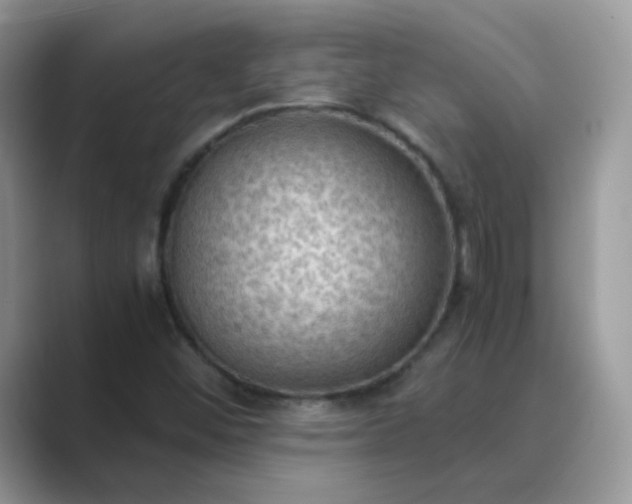 X0000089691452200707051616