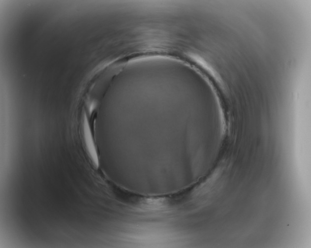 X0000089691453200707051616