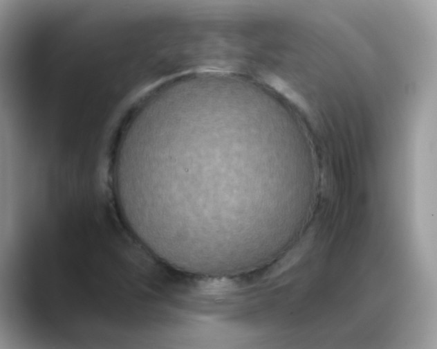 X0000089691454200707051616