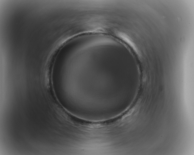 X0000089691455200707051616