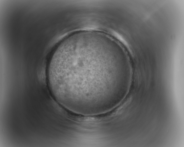 X0000089691456200707051616