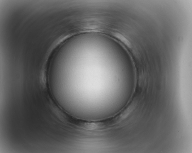 X0000089691458200707051616