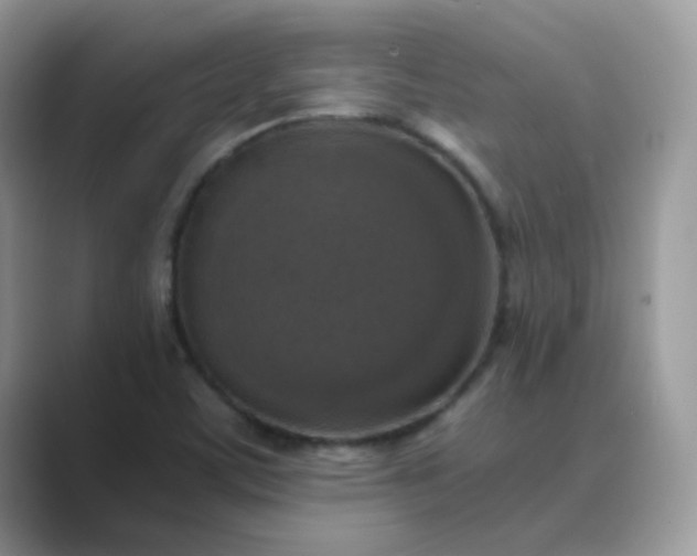 X0000089691459200707051616