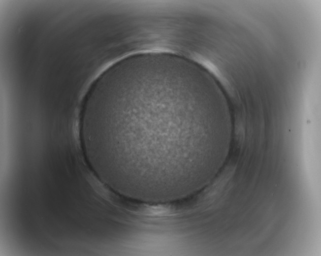 X0000089691460200707051616