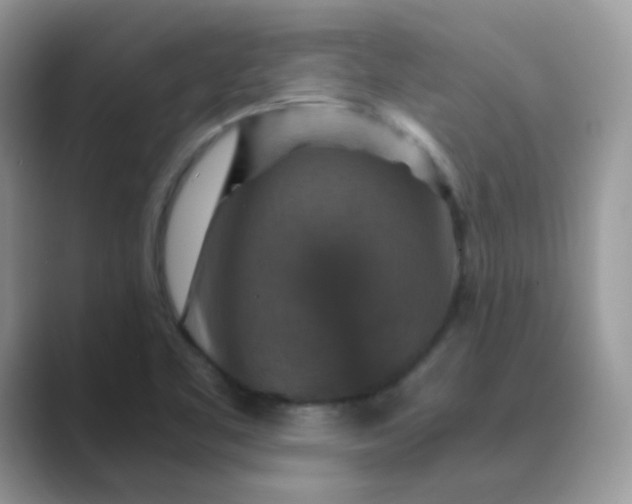 X0000089691461200707051616