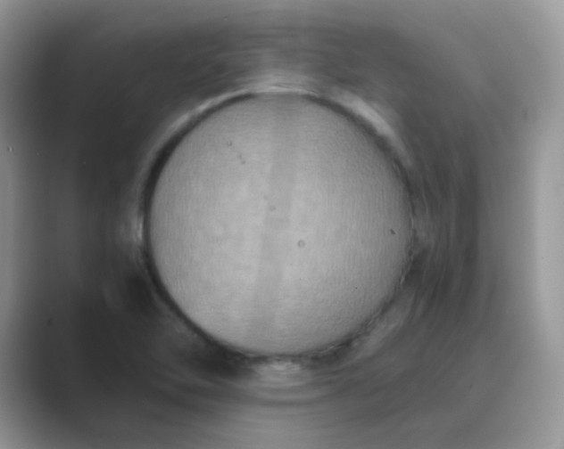 X0000089691462200707051616