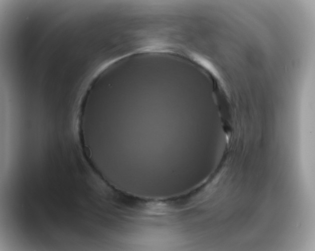 X0000089691463200707051616