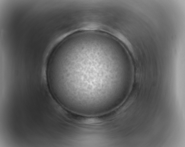 X0000089691464200707051616