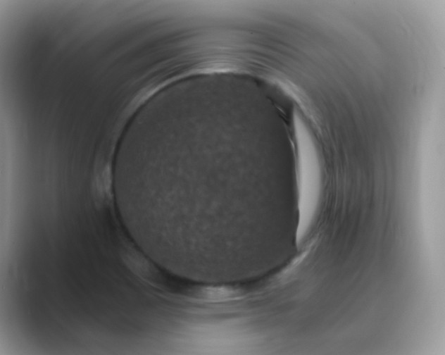 X0000089691465200707051616