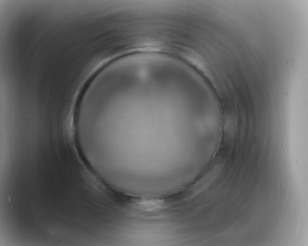 X0000089691466200707051616