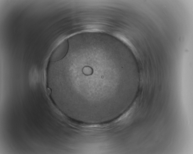 X0000089691467200707051616