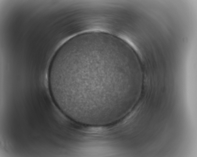 X0000089691468200707051616