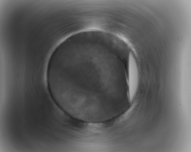 X0000089691469200707051616