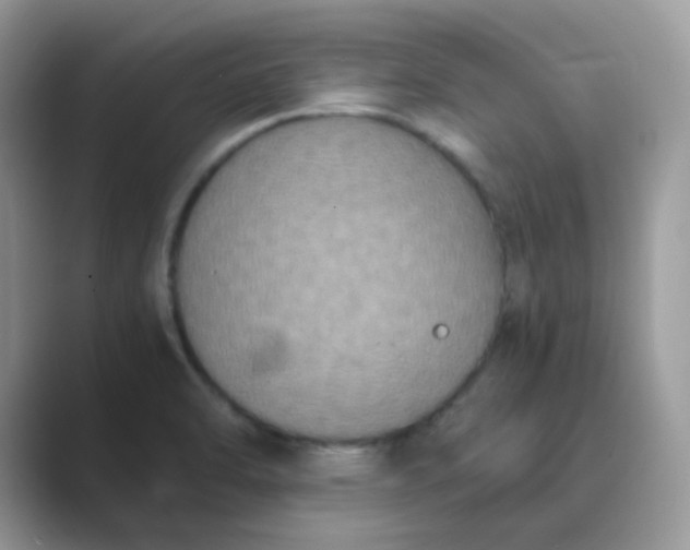 X0000089691470200707051616