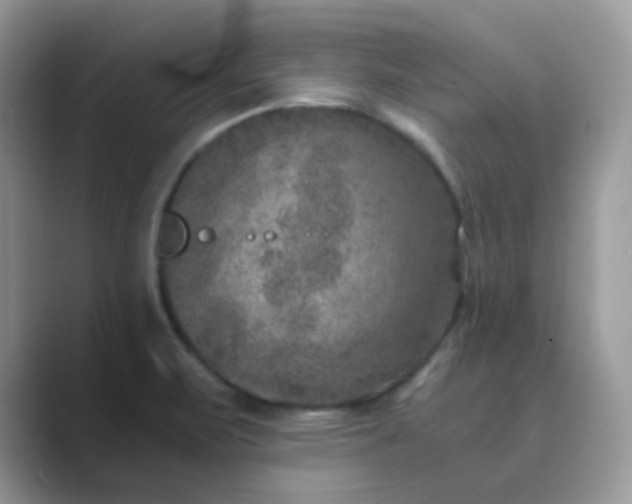 X0000089691471200707051616