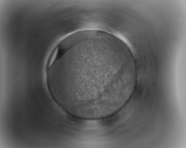 X0000089691472200707051616