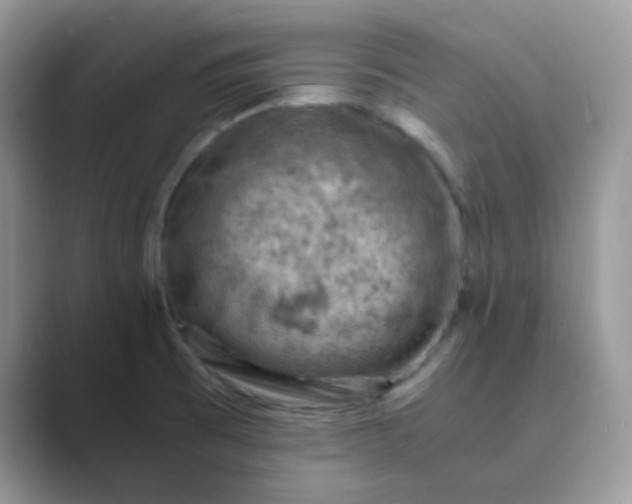 X0000089691473200707051616