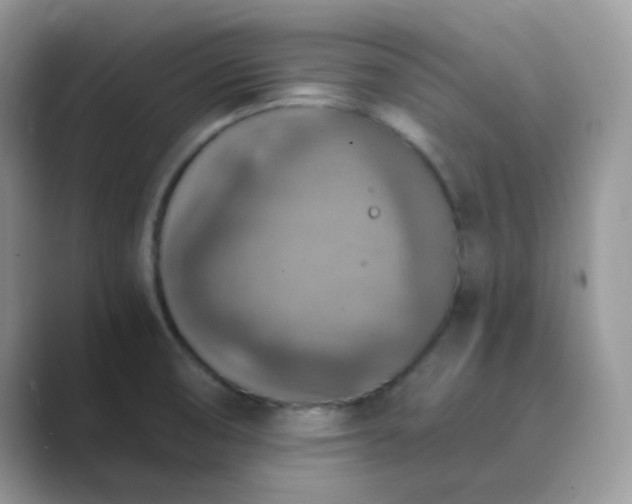 X0000089691474200707051616