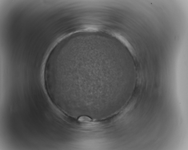 X0000089691475200707051616