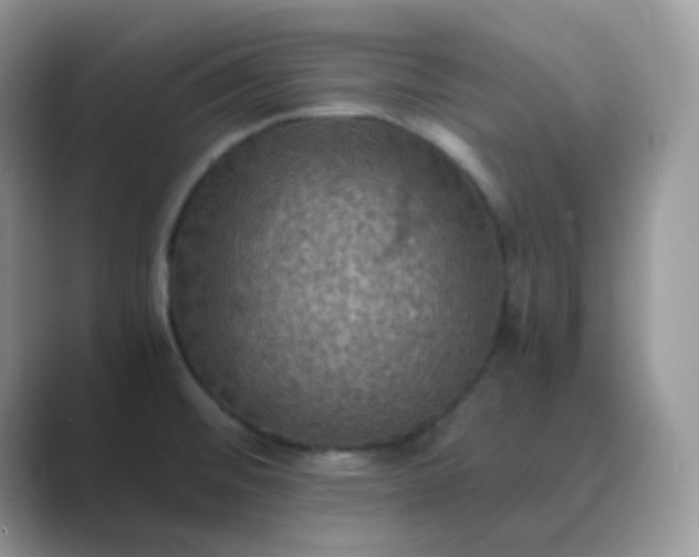 X0000089691476200707051616