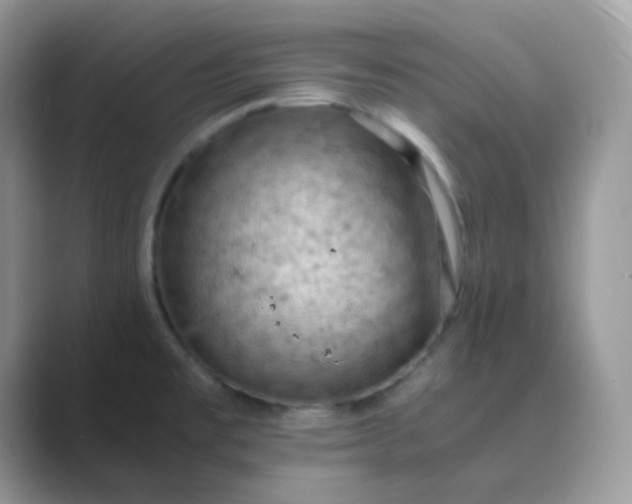 X0000089691477200707051616