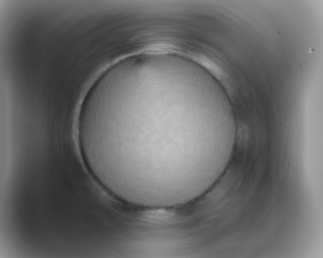 X0000089691478200707051616