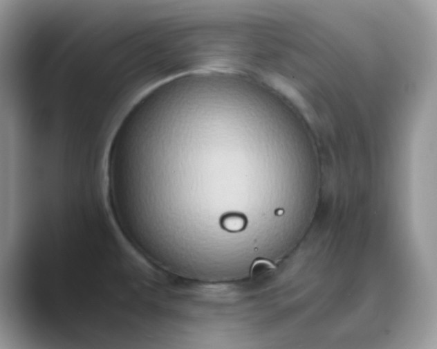 X0000089691479200707051616