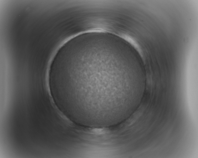 X0000089691480200707051616