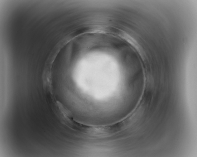 X0000089691481200707051616