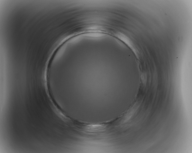 X0000089691482200707051616