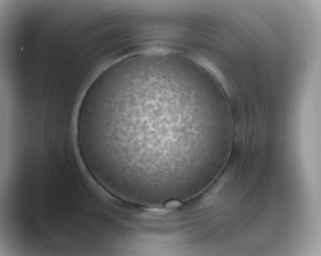 X0000089691483200707051616