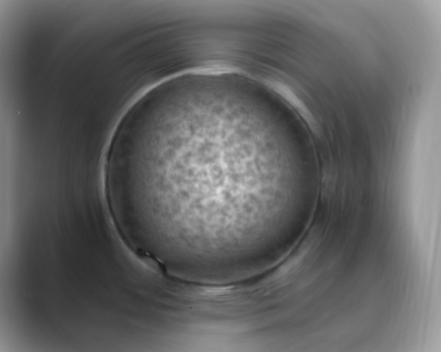 X0000089691484200707051616