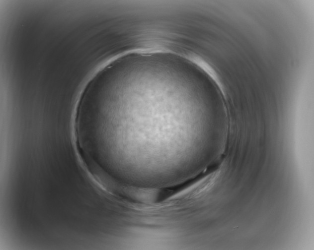 X0000089691485200707051616