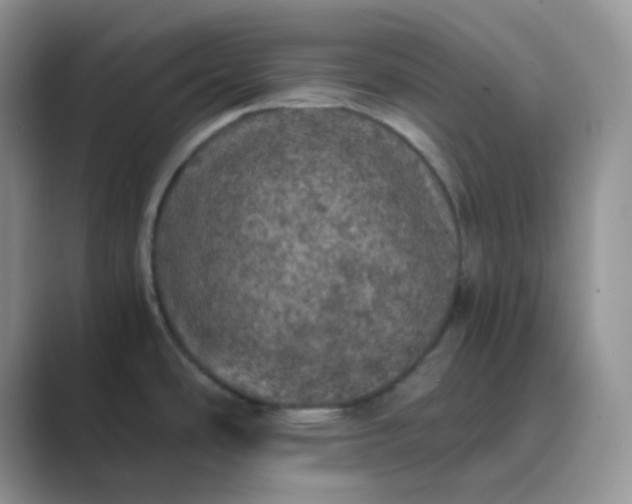 X0000089691486200707051616